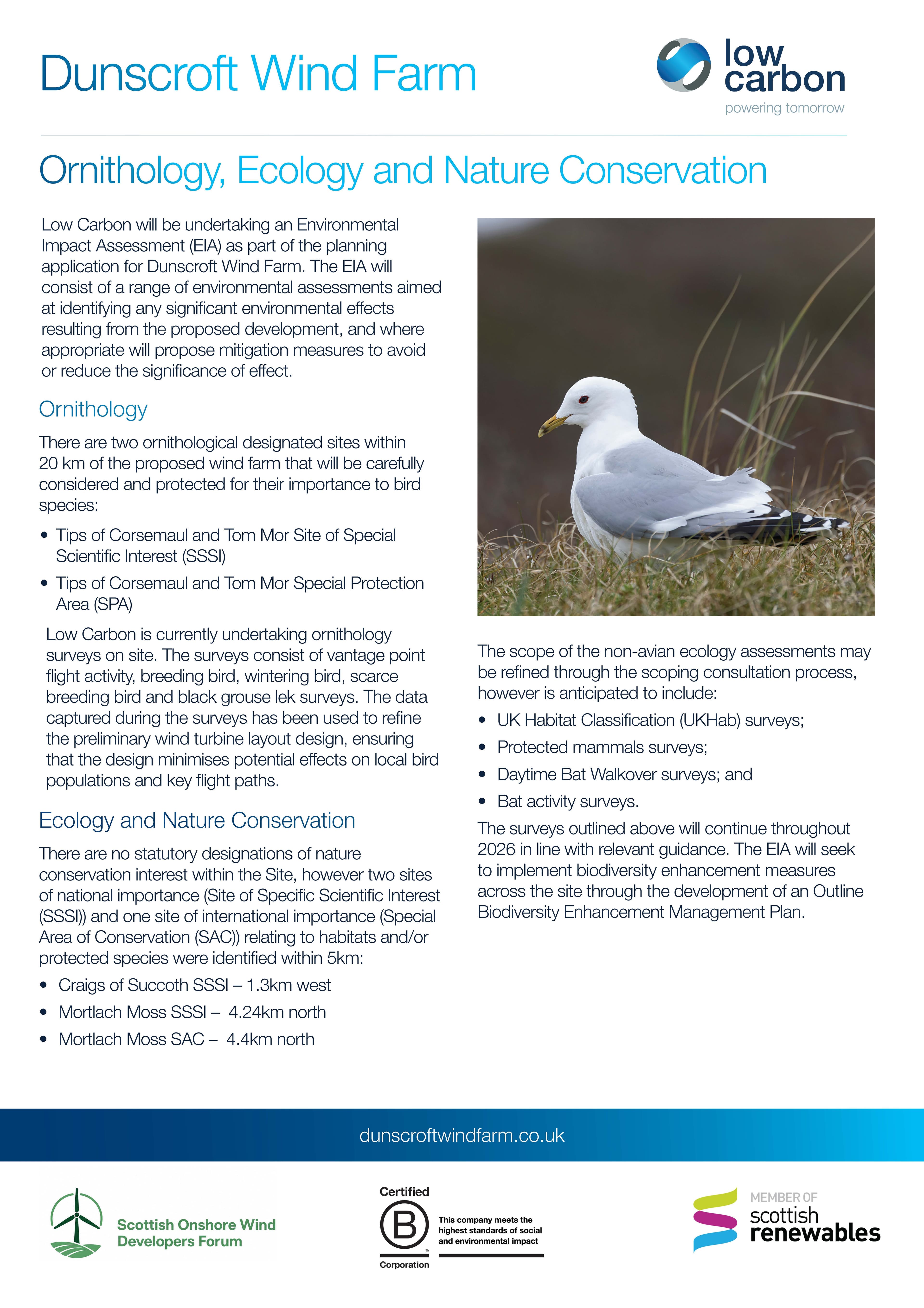 Dunscroft Wind Farm Ornithology.jpg